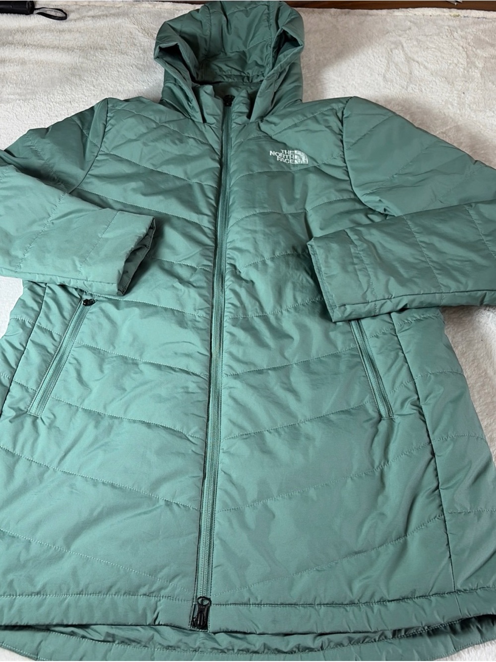 The North Face Green Puffer Hooded Tamburello Jacket - Women's Size Large - Picture 13 of 16